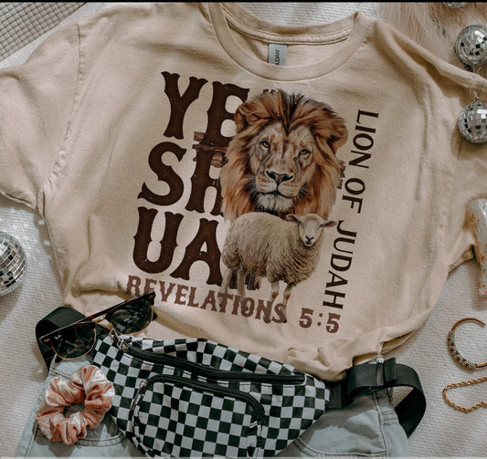 Yeshua Tee/Sweater